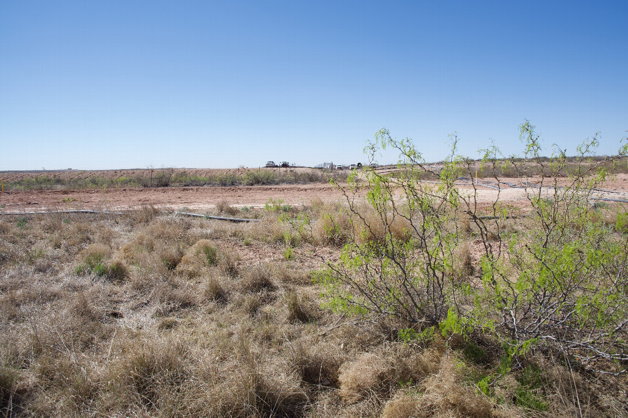 The confluence point lies just South of the New Mexico-Texas state line.  (This is also a view to the South (Texas), showing workers at an oil processing facility.)