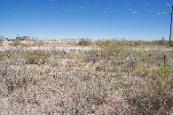 #2: View North (into New Mexico, and towards another oil processing facility)
