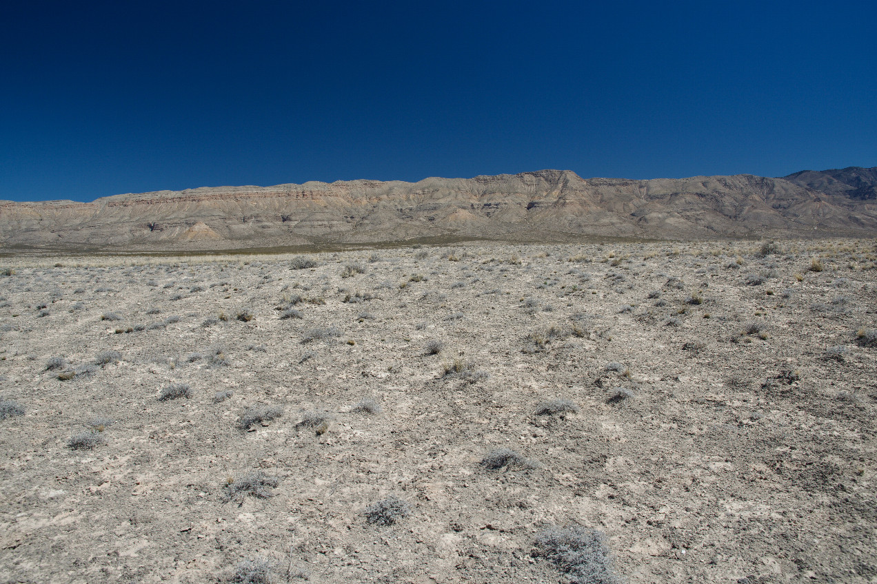 The confluence point lies in flat, arid ranchland.  (This is also a view to the East, towards the Guadalupe Mountains.)