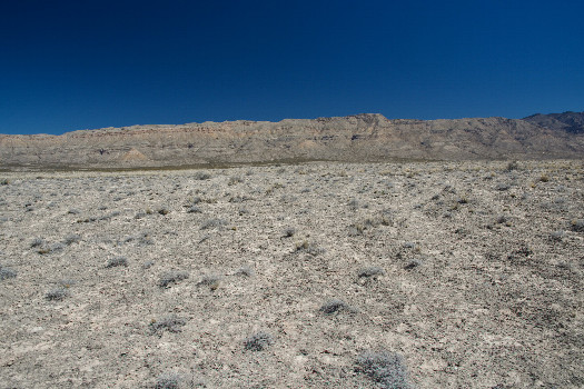 #1: The confluence point lies in flat, arid ranchland.  (This is also a view to the East, towards the Guadalupe Mountains.)