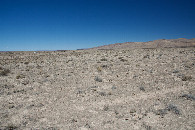 #2: View North