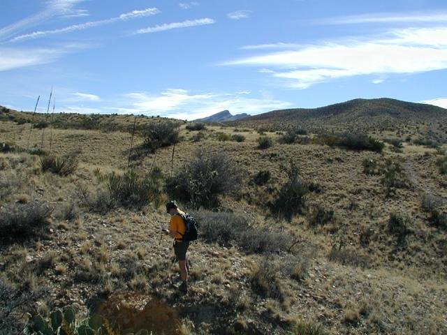 View east from 32n 106w; Cerro Alto (6787ft) in background