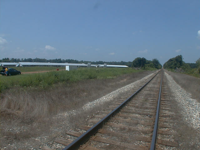 RR Tracks & Stinky Chicken Farm