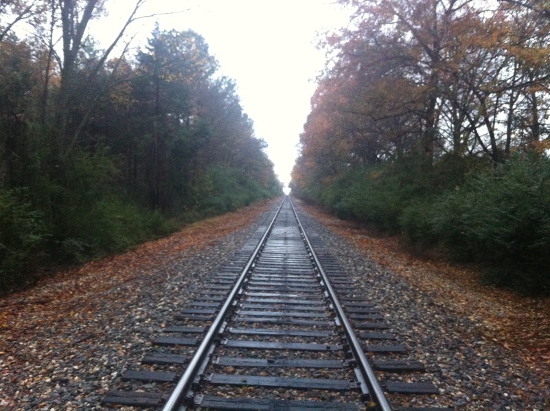 Railroad running about 100 meters south of the confluence point. 