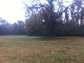 #5: View to the south from the confluence point.