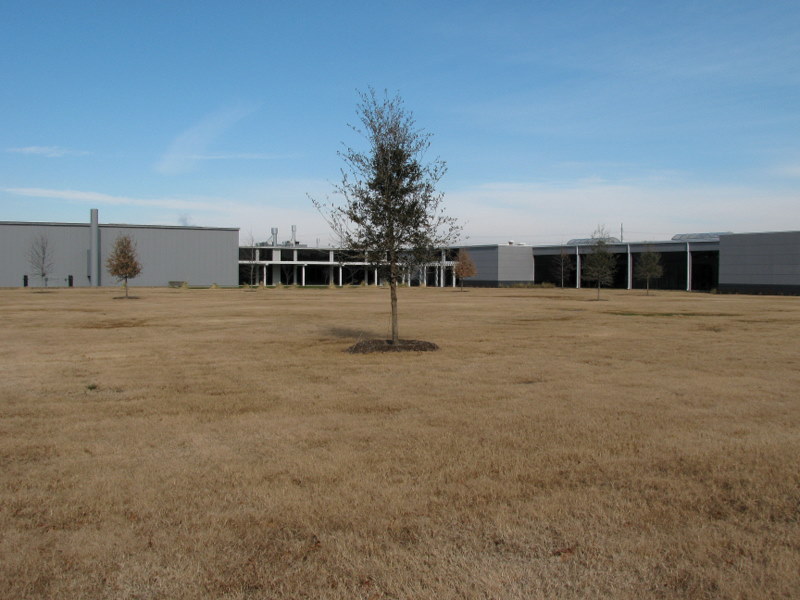 Looking North from the confluence