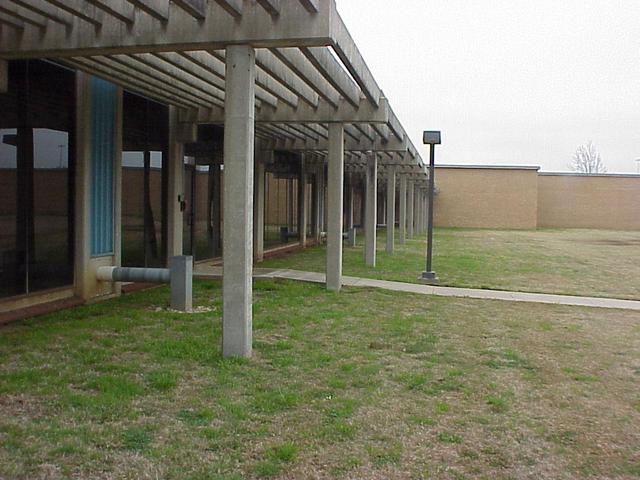 View to the east from the confluence site.