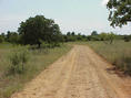 #2: N33W98 From 60 Meters South Looking West
