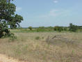 #3: N33W98 From 60 Meters Looking East