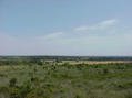 #5: From 1.2km SSW Looking East