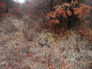 #1: General Area of Confluence