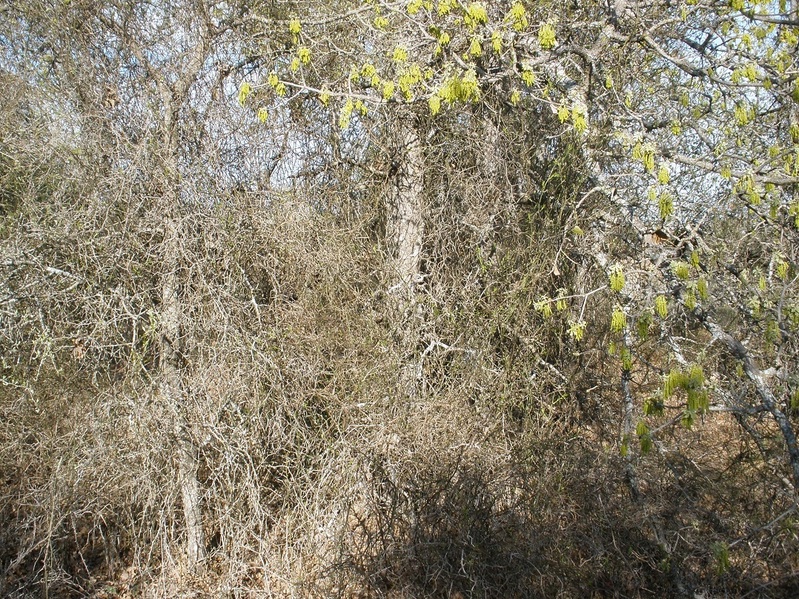East view