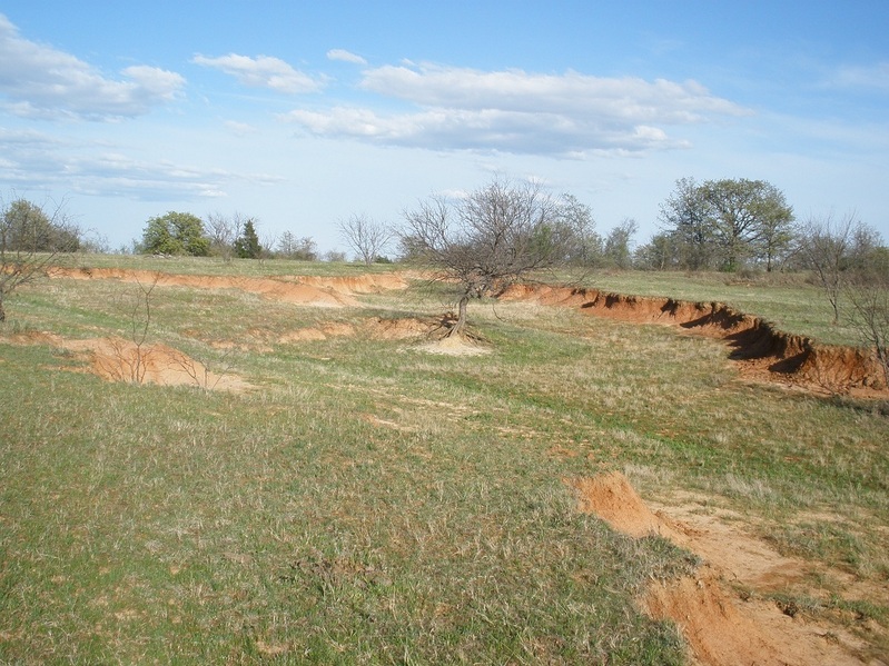 Soil depression area