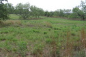 #2: Clearest view to the east, taken 50 meters east of the confluence.