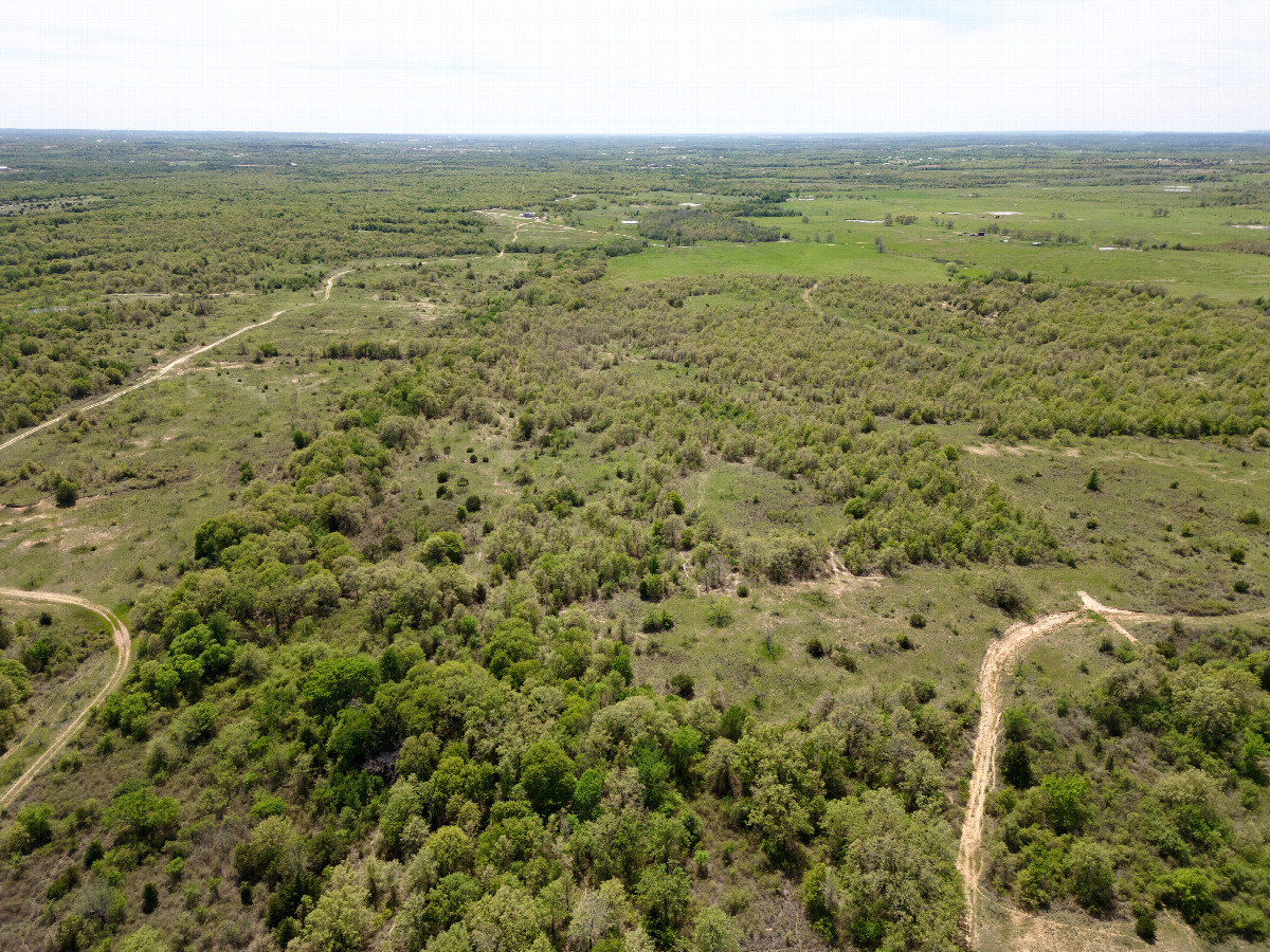 View South, from 120m above the point