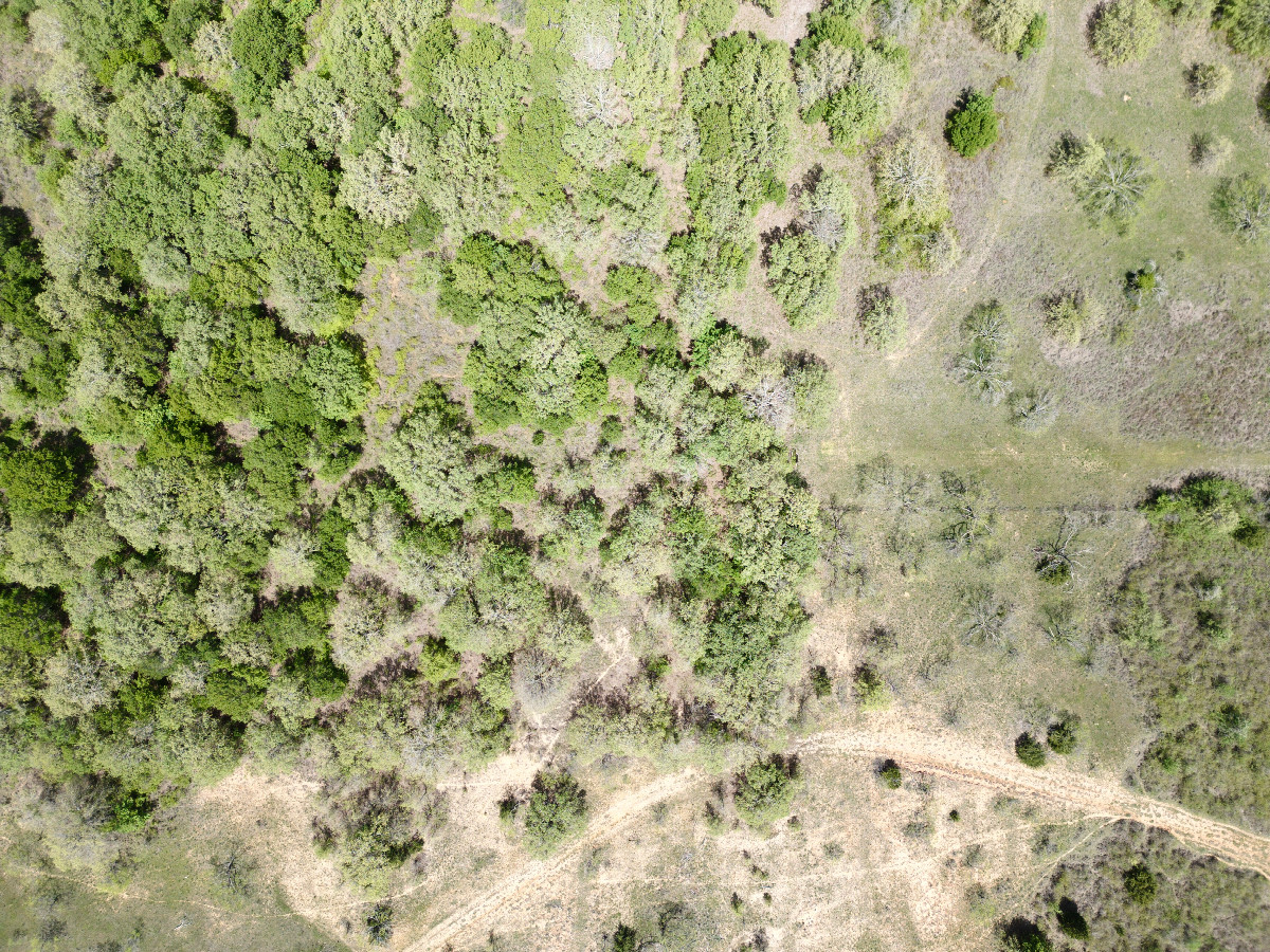 Looking down on the point from a height of 120m