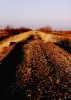 #4: Abandoned railbed just east of confluence.