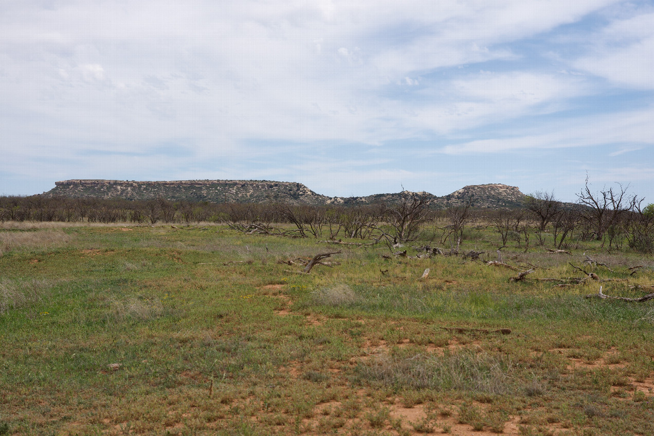 A closeup view of the hills, Southeast of the point