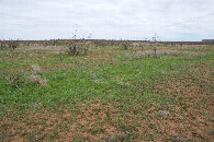 #2: View East