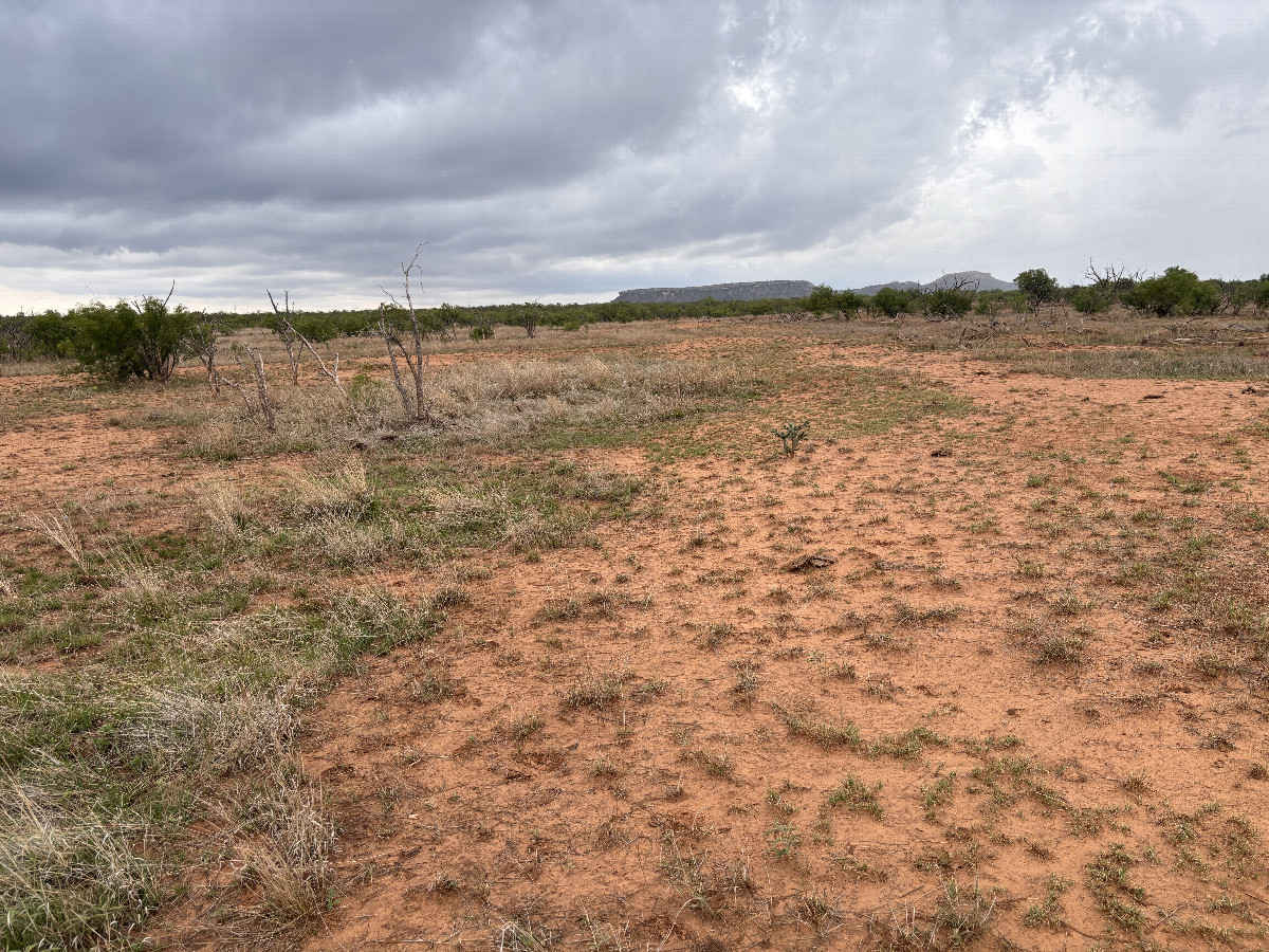 The confluence lies in the foreground of this photo, looking northwest. 
