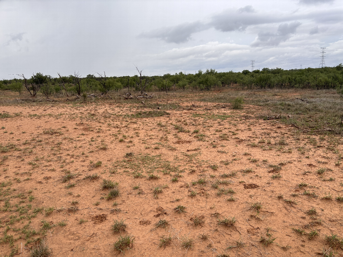 A view to the south from the confluence point.