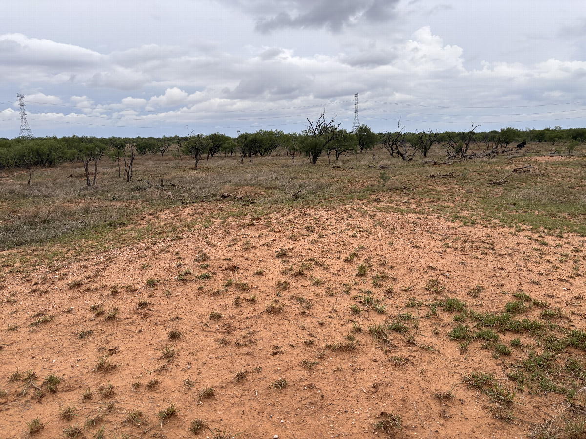 A view to the west from the confluence point.