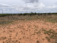 #5: A view to the west from the confluence point.