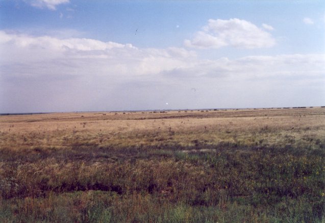 Plains SW from N33 W102.