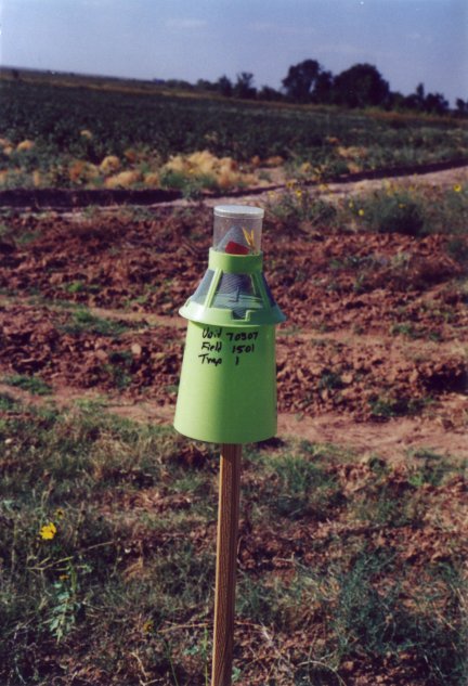 Boll weevil monitoring station near New Moore.