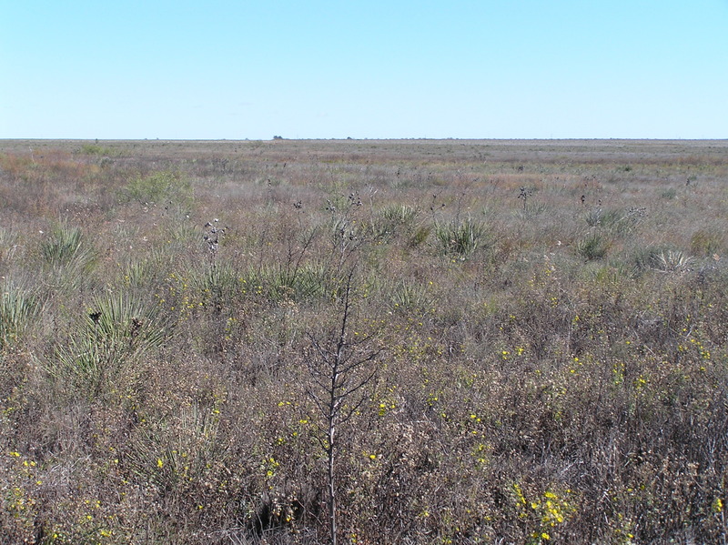 View to the east from the confluence.