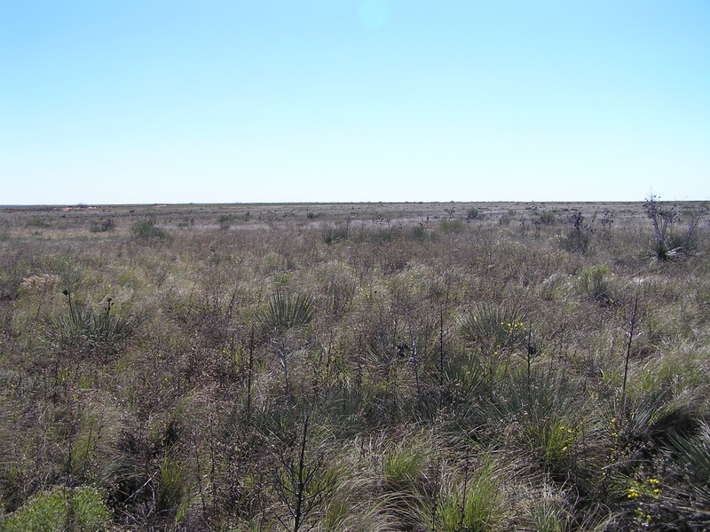 View to the south from the confluence.