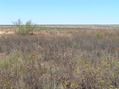 #4: View to the north from the confluence. 