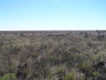 #6: View to the south from the confluence.