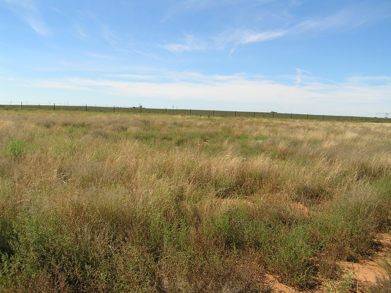 View to the west from the confluence.