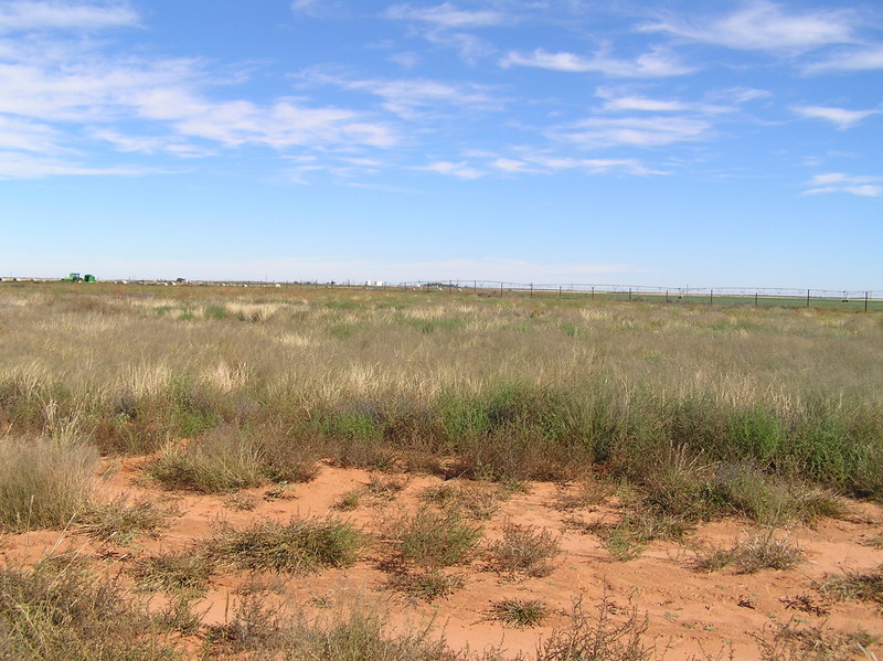 View to the east from the confluence.