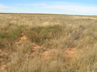 #1: Site of 33 North 103 West, in the foreground, looking northwest.