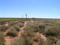 #4: View to the south from the confluence.