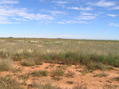 #5: View to the east from the confluence.