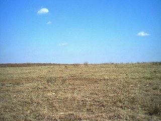 #1: A confluence, in a field of mud...