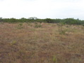 #3: South