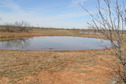 #8: Small pond just 75 meters northwest of the confluence.