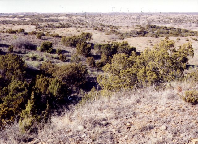 North from the confluence