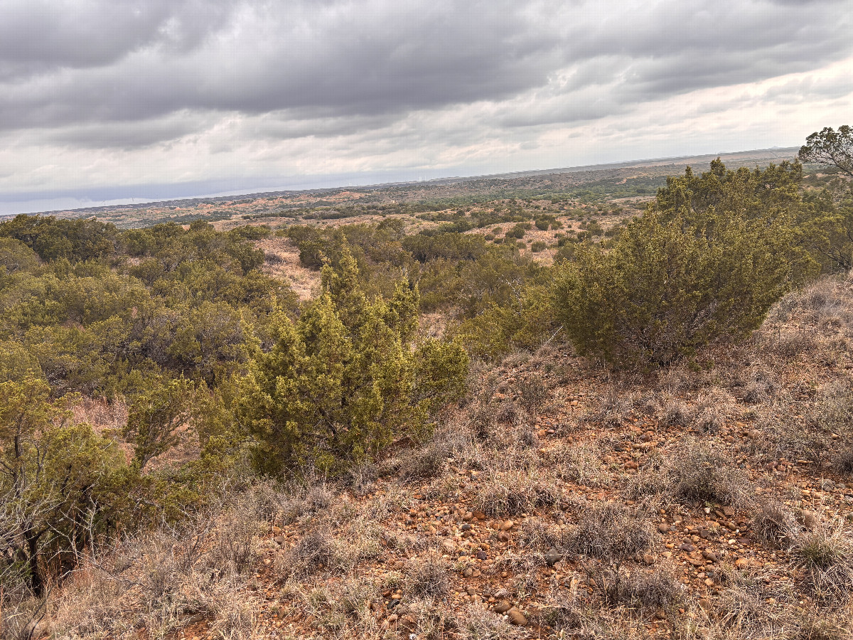The confluence lies in the foreground of this photo, looking north northeast.