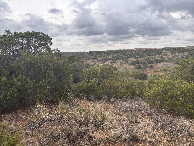 #3: View to the east from the confluence point.