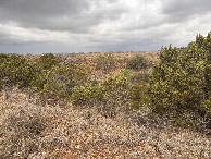 #5: View to the west from the confluence point.