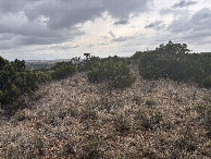 #9: One last view, to the northeast, as the rain begins to fall.