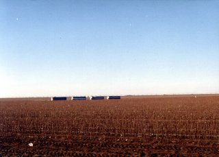 #1: The cotton field containing 34N/102W.