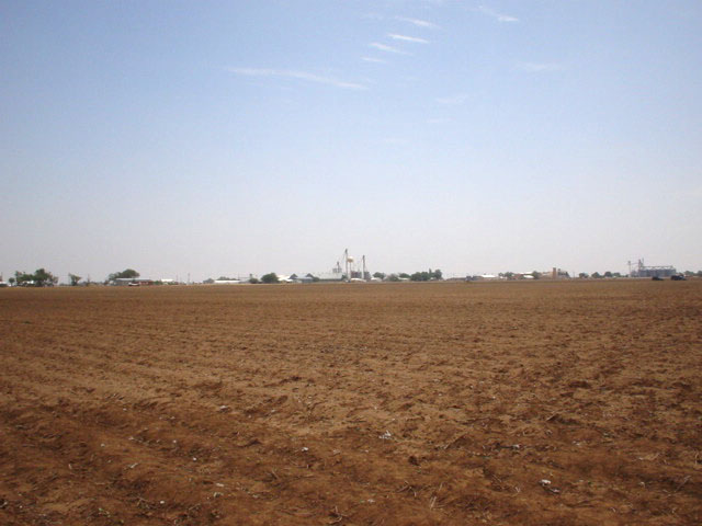 Looking southeast towards Cotton Center--the most scenic direction