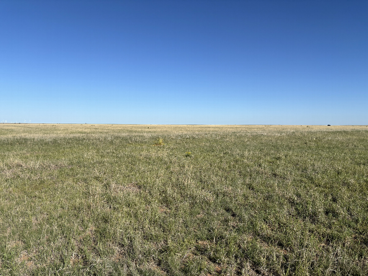 A view to the west from the confluence point.