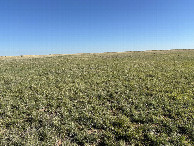 #2: A view to the north from the confluence point. 